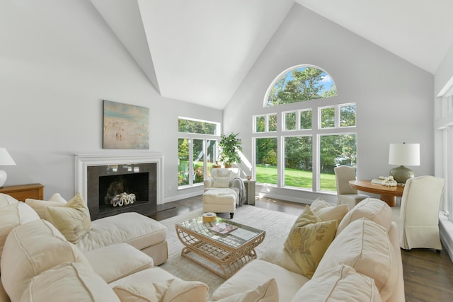 living room featuring a premium fireplace, high vaulted ceiling, and dark hardwood / wood-style floors