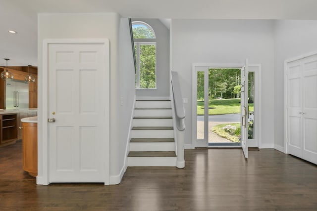 entrance foyer featuring dark wood-type flooring