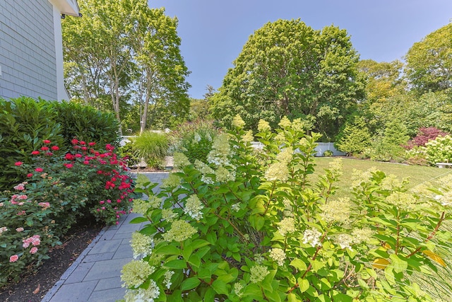 205 Forest St, Harwich, MA 02645 - photo 79