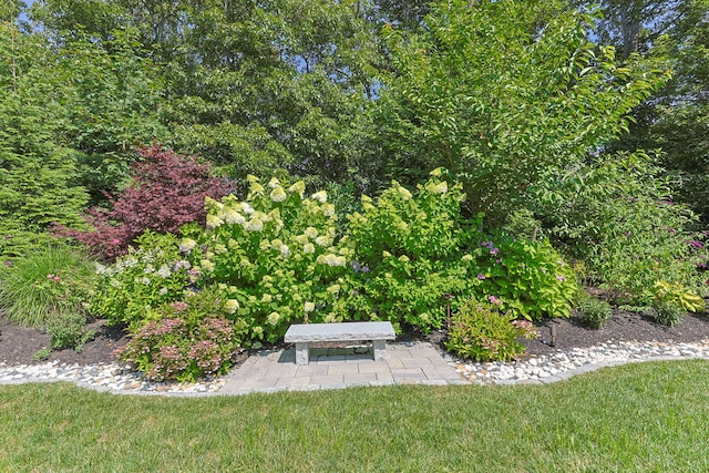 205 Forest St, Harwich, MA 02645 - photo 80