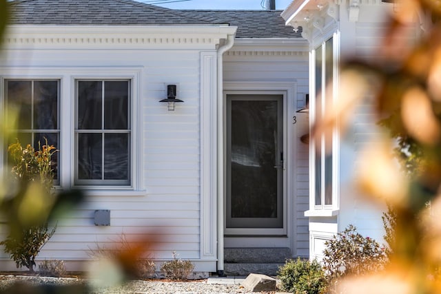 view of home's exterior featuring a shingled roof