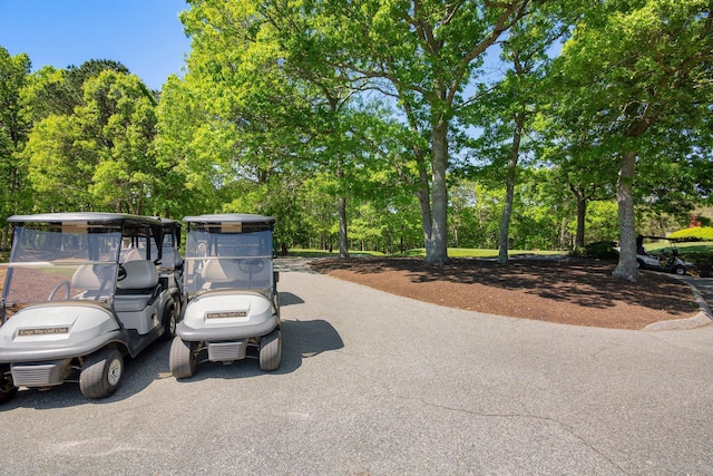 12 Wildflower Vlg, Yarmouth Port, MA 02675 - view of road with view of scattered trees