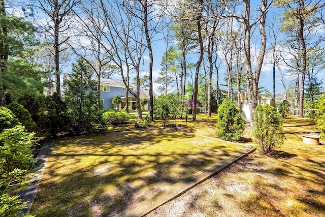 view of yard
