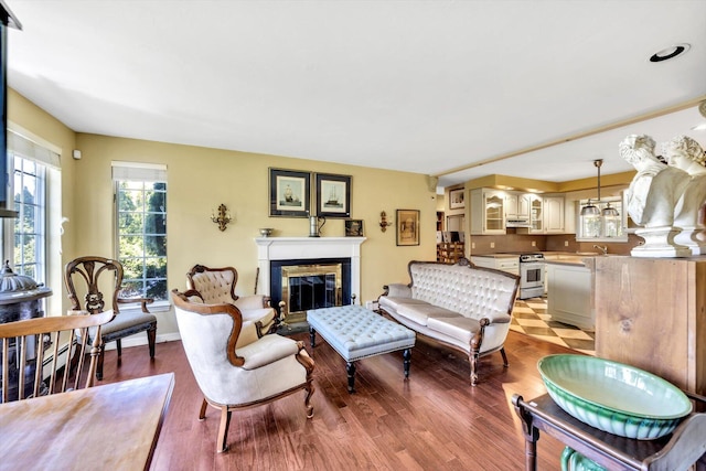 living area featuring wood finished floors and a fireplace