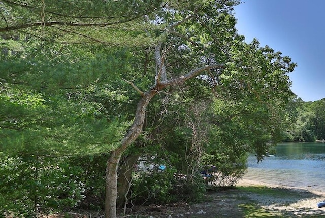 73 Lake Shore Dr, Hatchville, MA 02536