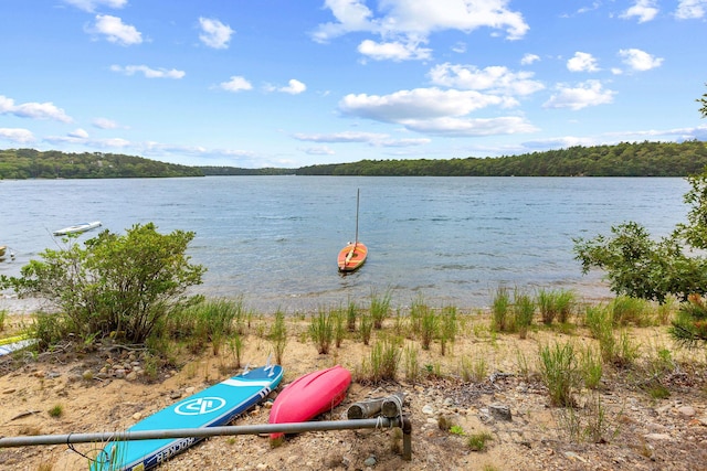 262 Sheep Pond Dr, Brewster, MA 02631 - photo 55