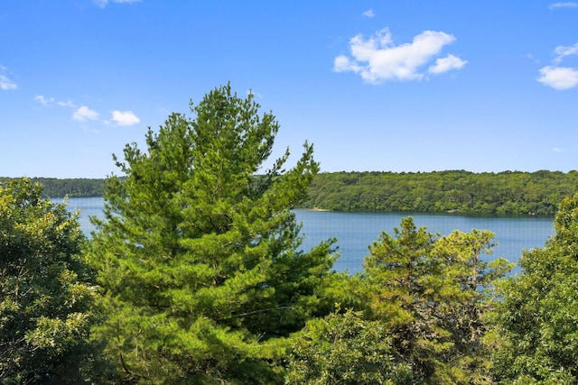 262 Sheep Pond Dr, Brewster, MA 02631 - photo 57