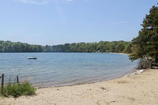 262 Sheep Pond Dr, Brewster, MA 02631 - photo 58