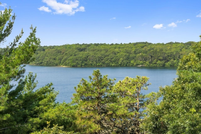 262 Sheep Pond Dr, Brewster, MA 02631 - photo 56