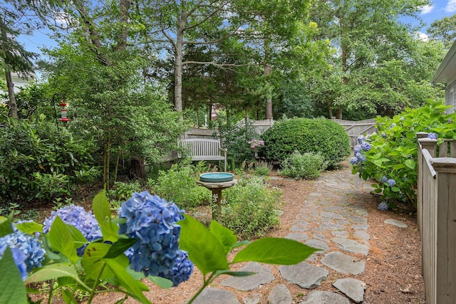 262 Sheep Pond Dr, Brewster, MA 02631 - photo 52