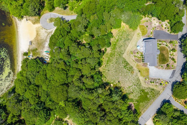 410 Blueberry Pond Dr, Brewster, MA 02631 - photo 57