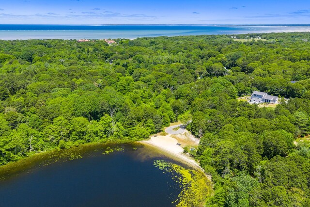 410 Blueberry Pond Dr, Brewster, MA 02631 - photo 55
