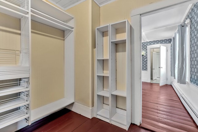 walk in closet with a baseboard radiator and dark wood finished floors