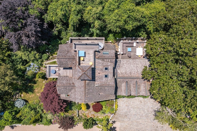aerial view