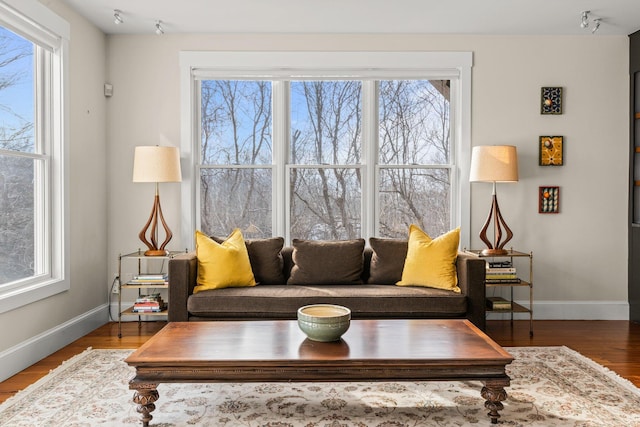 living room featuring hardwood / wood-style floors and plenty of natural light