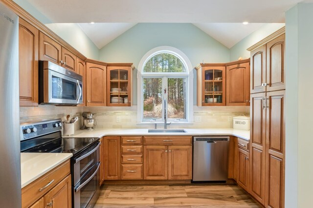 kitchen featuring a sink, lofted ceiling, light wood-type flooring, and stainless steel appliances