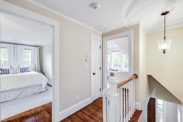 interior space featuring dark hardwood / wood-style floors, ornamental molding, and a healthy amount of sunlight