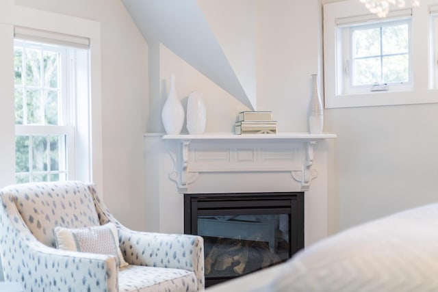 living area with vaulted ceiling and plenty of natural light