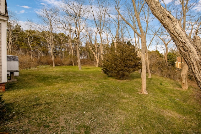495 Chequessett Neck Rd, Wellfleet, MA 02667 - view of yard