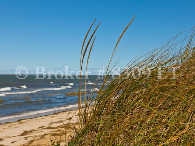 property view of water with a beach view