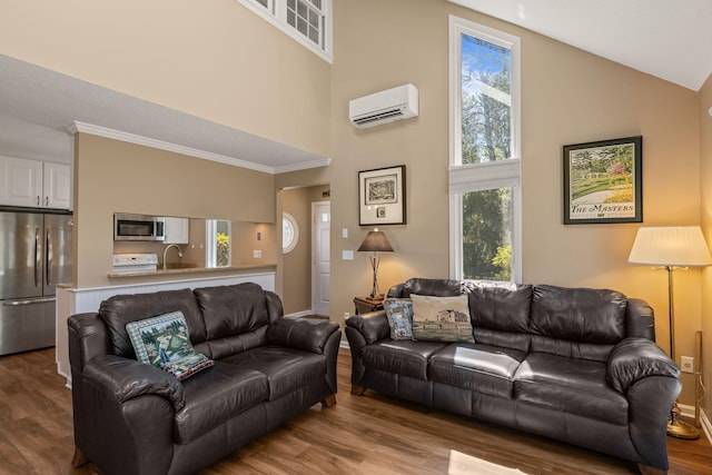 living room with high vaulted ceiling, a wall unit AC, wood finished floors, and plenty of natural light