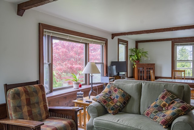 78 Wood Ave, Sandwich, MA 02563 - living room with beam ceiling