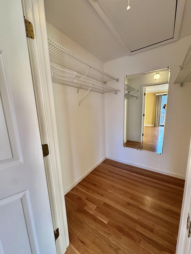 walk in closet with wood finished floors