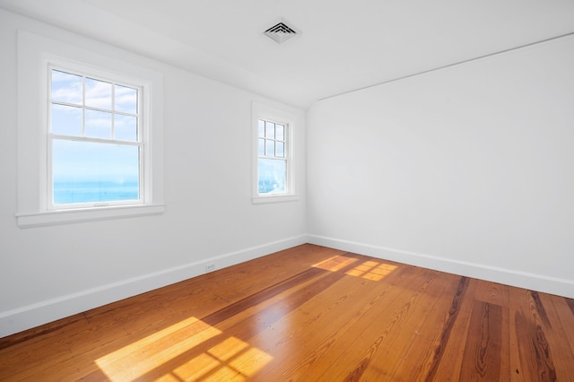 unfurnished room featuring wood-type flooring and a healthy amount of sunlight