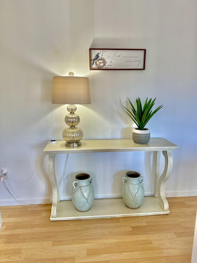 room details with wood-type flooring