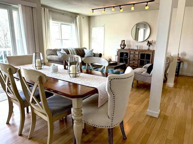 dining room with track lighting, a healthy amount of sunlight, light hardwood / wood-style flooring, and a textured ceiling