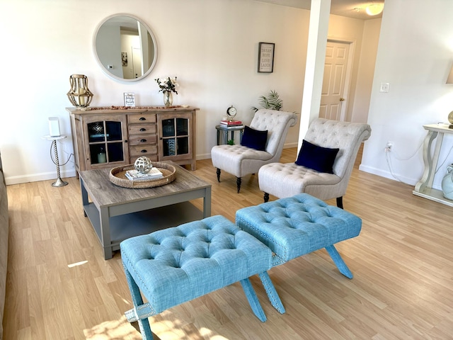 sitting room with light hardwood / wood-style floors