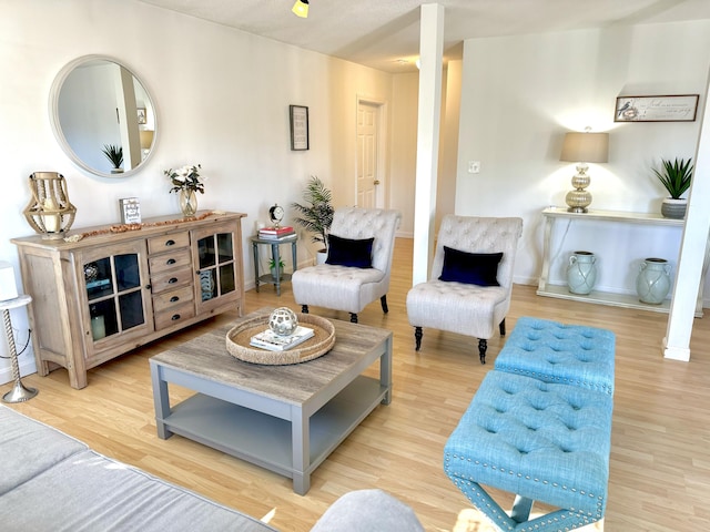 living room featuring light hardwood / wood-style floors