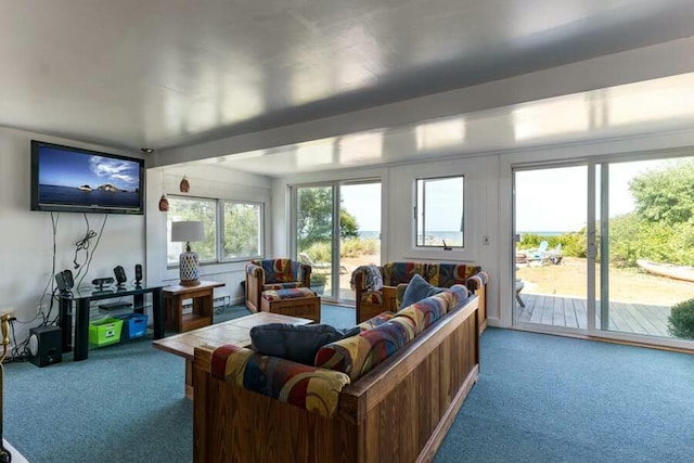 232 Robbins Hill Rd, Brewster, MA 02631 - view of carpeted living room