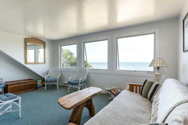 232 Robbins Hill Rd, Brewster, MA 02631 - view of carpeted living room