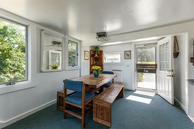 232 Robbins Hill Rd, Brewster, MA 02631 - dining room with baseboards, carpet flooring, and a healthy amount of sunlight
