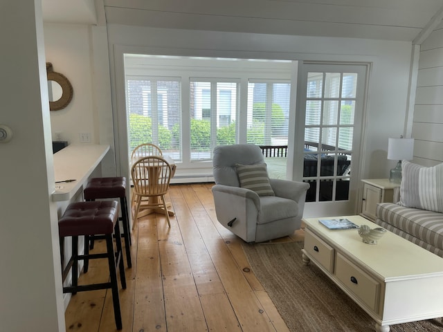 17 Hydrangea Ln, Mashpee, MA 02649 - living area with wood-type flooring, healthy amount of natural light, and a baseboard radiator