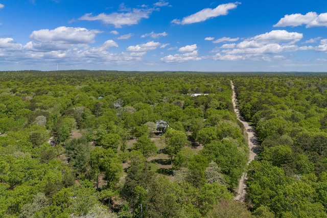 21 Cloverfield Way, Hatchville, MA 02536 - bird's eye view of a forest