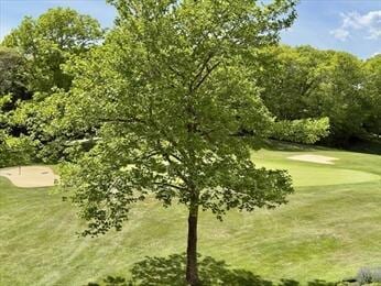 92 Cliffside Dr Unit 92, Cedarville, MA 02360 - surrounding community featuring view of golf course and a yard