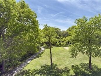 92 Cliffside Dr Unit 92, Cedarville, MA 02360 - view of yard