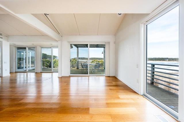 empty room with a healthy amount of sunlight, light hardwood / wood-style floors, and vaulted ceiling