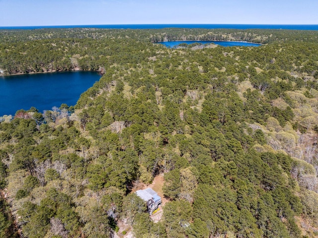40 Georges Way, Wellfleet, MA 02667 - aerial view of a heavily wooded area and a large body of water