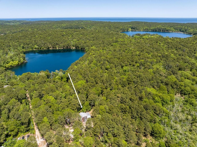 40 Georges Way, Wellfleet, MA 02667 - aerial view of a forest and a nearby body of water