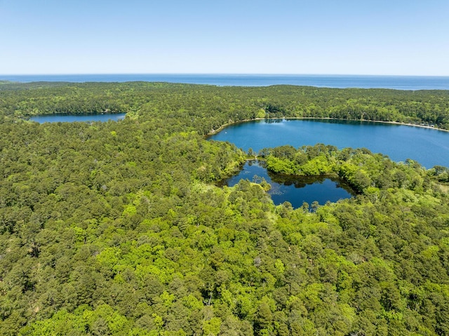 40 Georges Way, Wellfleet, MA 02667 - aerial view of a forest and a nearby body of water
