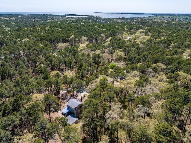 40 Georges Way, Wellfleet, MA 02667 - drone / aerial view of a forest