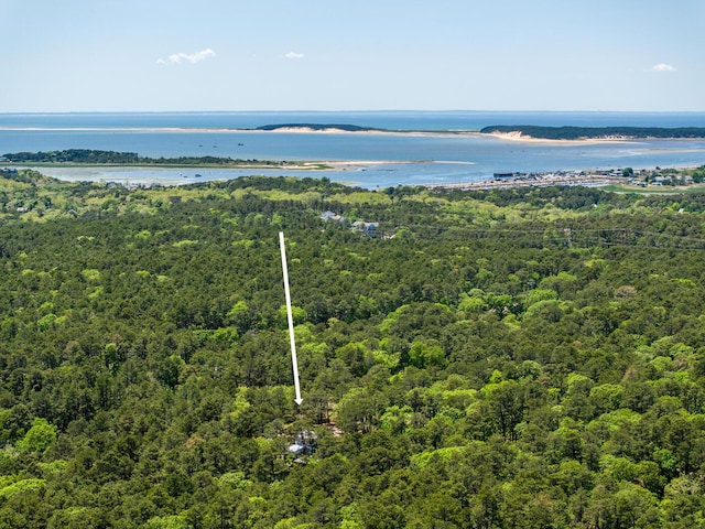 40 Georges Way, Wellfleet, MA 02667 - aerial view of a heavily wooded area and a large body of water