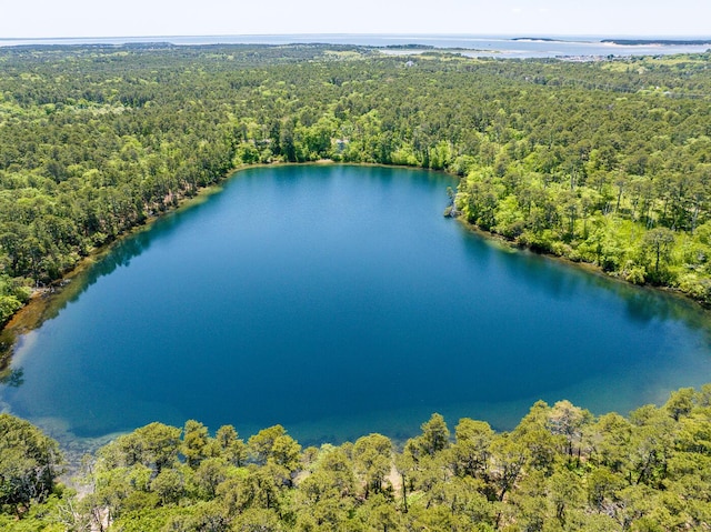 40 Georges Way, Wellfleet, MA 02667 - drone / aerial view of a heavily wooded area and a nearby body of water