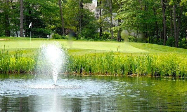 45 Grey Hawk Dr Unit 578, Mashpee, MA 02649 - view of water feature