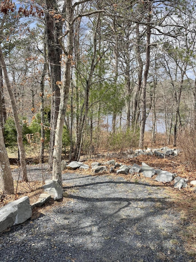 45 Grey Hawk Dr Unit 578, Mashpee, MA 02649 - view of yard