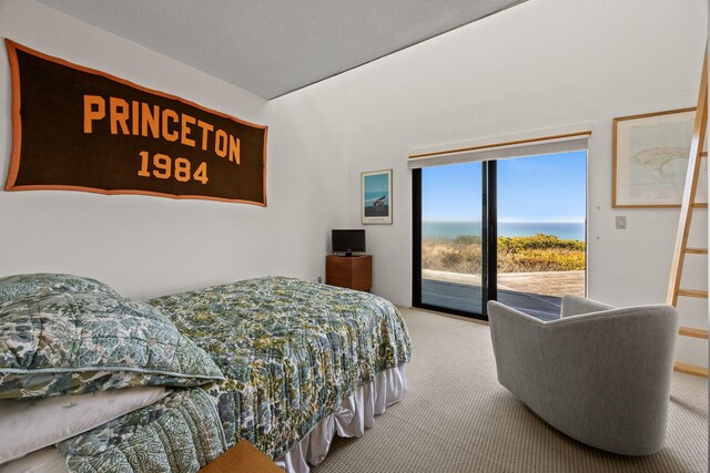 47 Fishermans Rd, Truro, MA 02666 - bedroom featuring carpet floors and access to exterior