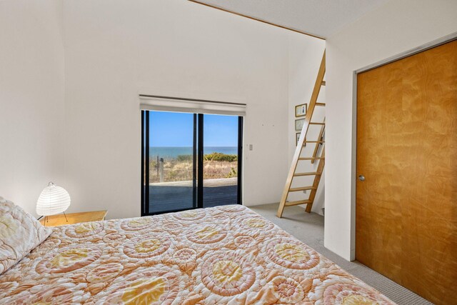 47 Fishermans Rd, Truro, MA 02666 - bedroom featuring access to outside and carpet floors